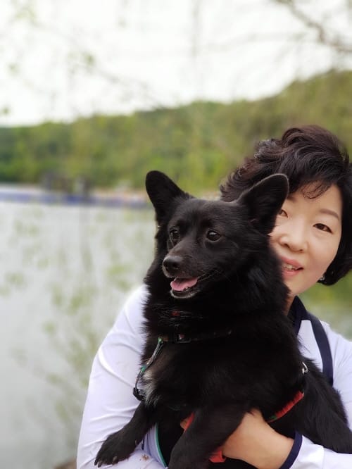 동물보호법 개정, 지도·단속 강화한다