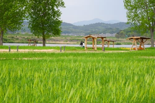 청년농에 농지 임차료 5억 원 지원한다