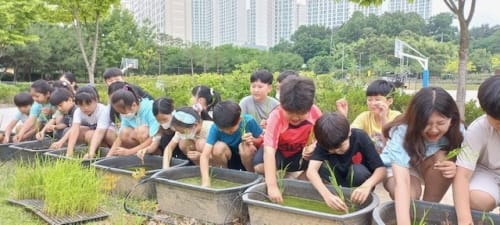 오늘은 우리도 작은농부! 친환경 벼 함께 키워요!