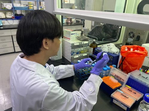 여름철 안전관리 취약 농산물 집중검사
