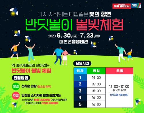 마법같은 반딧불이 빛의 향연
