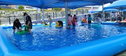 대전반려동물공원 “반려동물과 함께 물놀이 즐기세요”