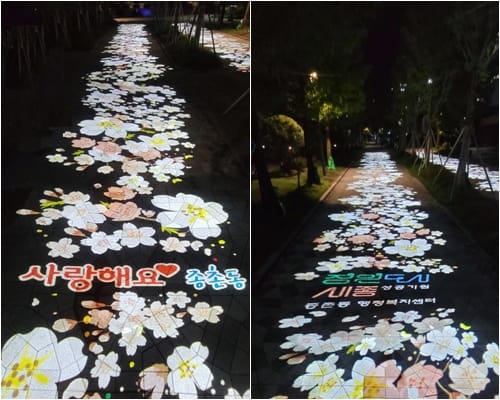 한여름밤의 꽃길, 종촌동에서 함께 걸어요