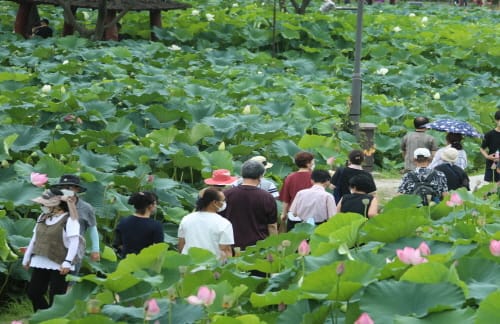 부여, 올해 ‘관광객 400만 시대’ 목표 조기달성 기대