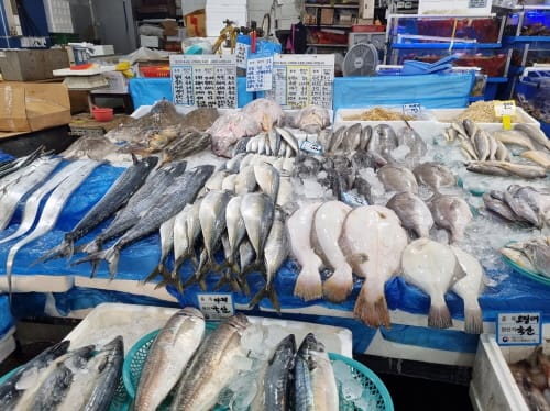 일본산 수입 수산물 원산지 철저히 살핀다