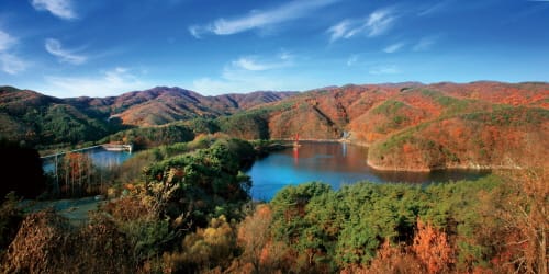 충남의 알프스 칠갑산도립공원 가을맞이