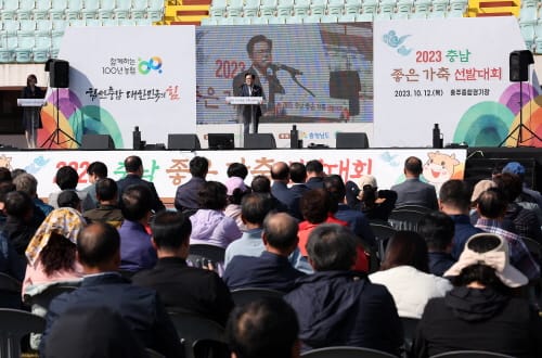 충남 대표 한우·젖소 가렸다