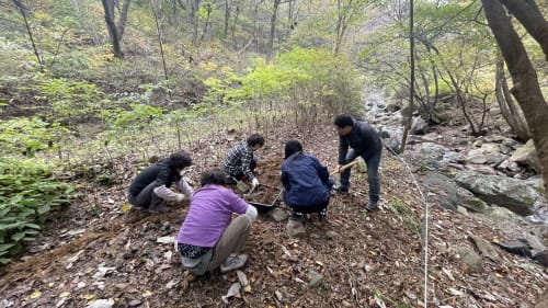 멸종위기 식물 6종 복원 추진