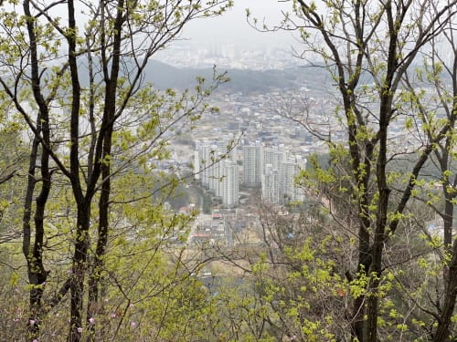 대전시, 개발제한구역 관리실태 시·구 합동점검