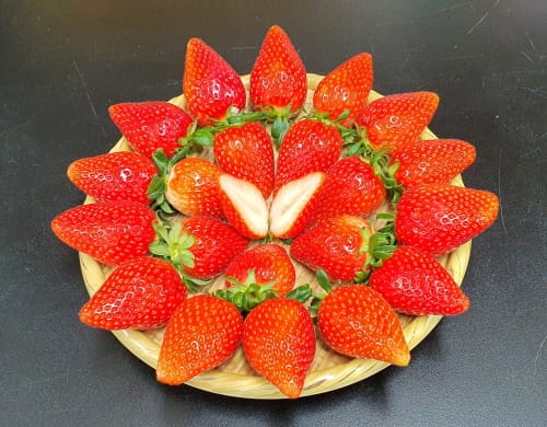 설향 이을 ‘딸기 삼총사’ 출격 준비 완료