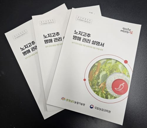 노지 고추 병해 진단, 방제법 제시