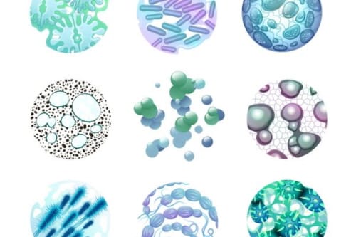 대전시 농업기술센터, 유용 미생물 연중 무상 보급