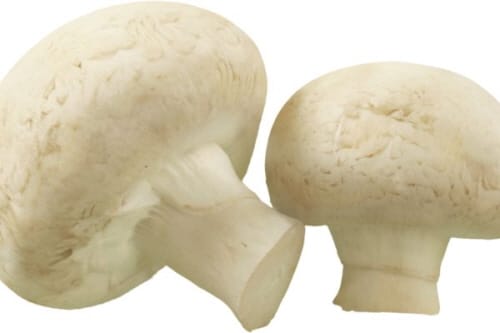 부여군, 농업부산물 재활용을 위한 성공적인 첫 걸음