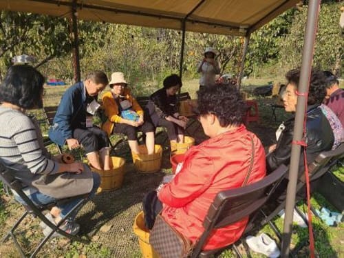 치매노인 위한 치유농업 프로그램 ‘눈길’
