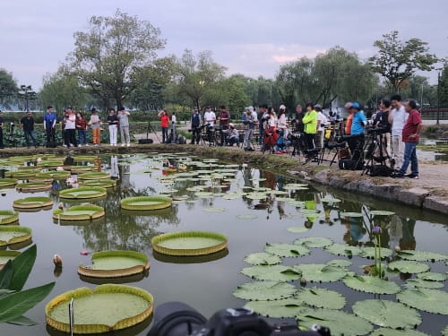 충남 관광객 3100만명… 5000만 시대 성큼