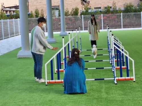 대전반려동물공원 상반기 교육프로그램 운영