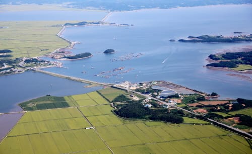 미래 먹거리 보고로 뜨는 ‘천수만벨트’