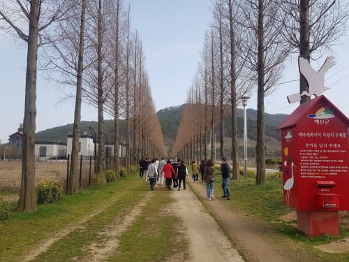 ‘토닥토닥’ 내포문화숲길서 몸·마음 쉰다