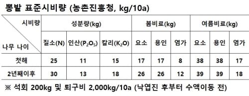 고품질 뽕잎-오디, 봄철 관리에 달렸다