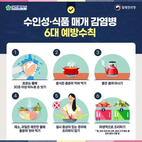 대전시, 하절기 감염병 비상체계 운영