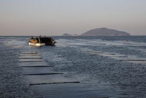 바다의 반도체 ‘김’ 신규 양식장 개발한다