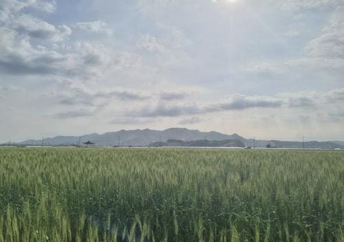 지역 종자산업 경쟁력 확보 ‘박차’