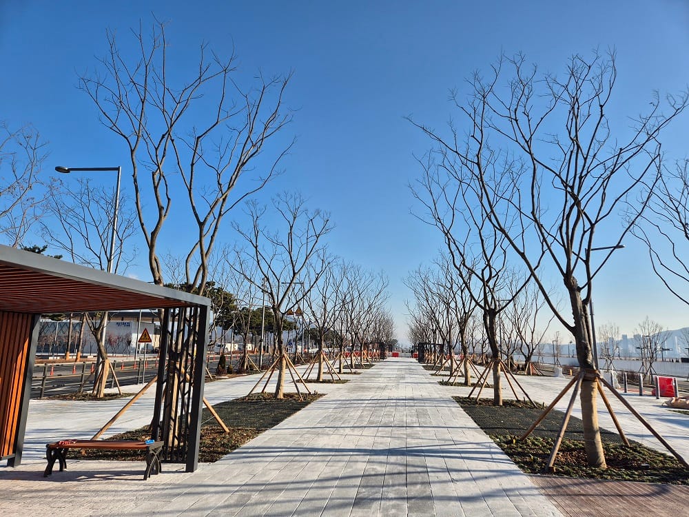 도시상징광장 2단계 조성 완료, 10일부터 개방... 중앙공원, 국립어린이박물관 등과 시너지로 도심활성화 기대