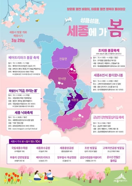 성큼 다가온 봄, 세종에 꽃 보러가지 않을래?