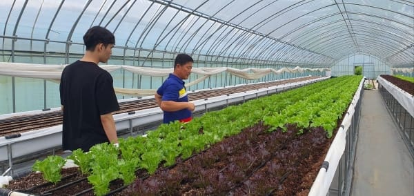 세종시농업기술센터, 신규농업인 영농정착 돕는다