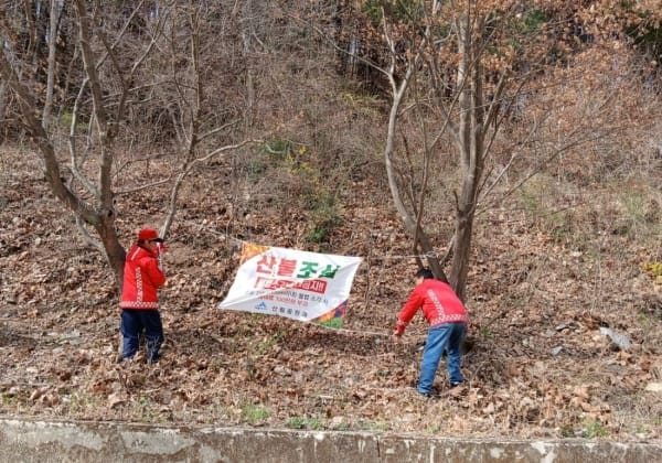 세종시 '입산 금지' 긴급 행정명령