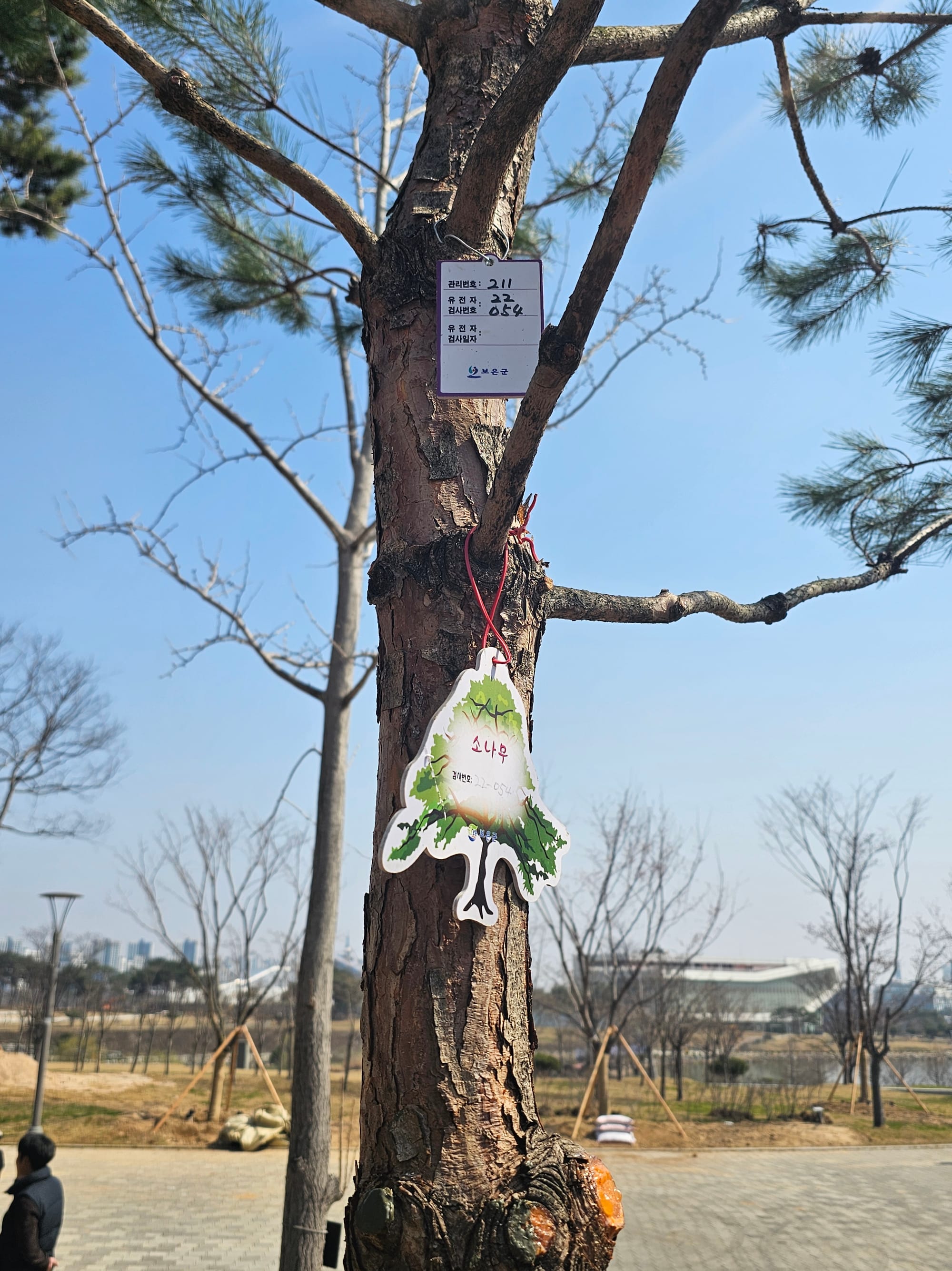 홍예공원에 뿌리내린 ‘천년 명품목’