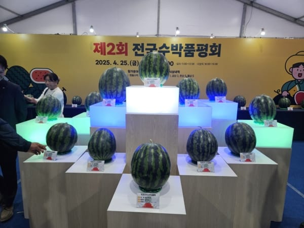 부여군 수박연구회, 전국수박품평회 금상 수상 쾌거