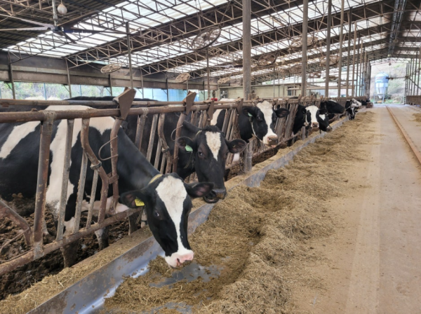 부여군, 깨끗한 축산농장 조성사업 추진 박차