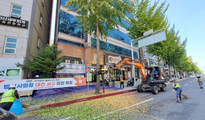 시민 불편 해소와 ‘천년의 숲’ 조성 병행... 대전시, 은행나무 암나무 교체