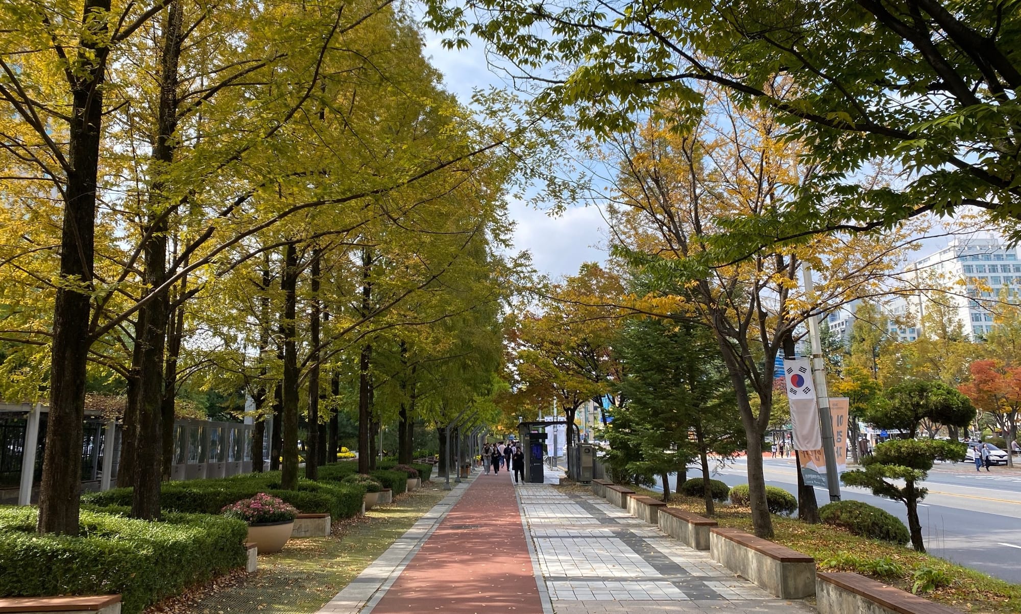 '귀성객 맞이 깨끗한 도시환경 조성'... 대전시, 추석맞이 불법광고물 특별정비