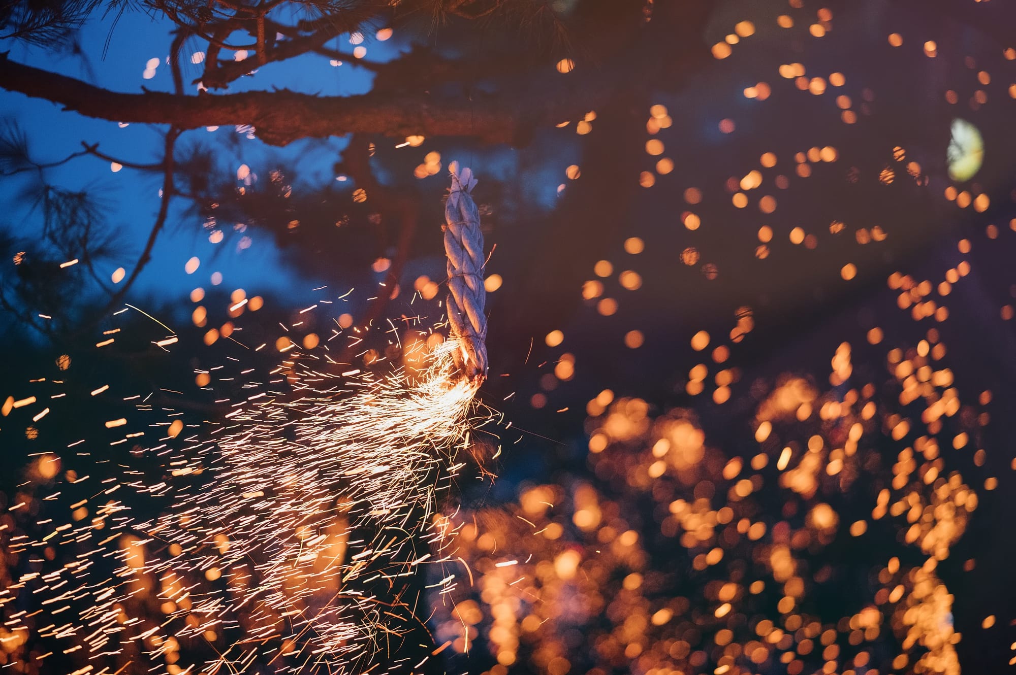 세종의 밤 밝히는 낙화의 향연, 영평사에서 만난다