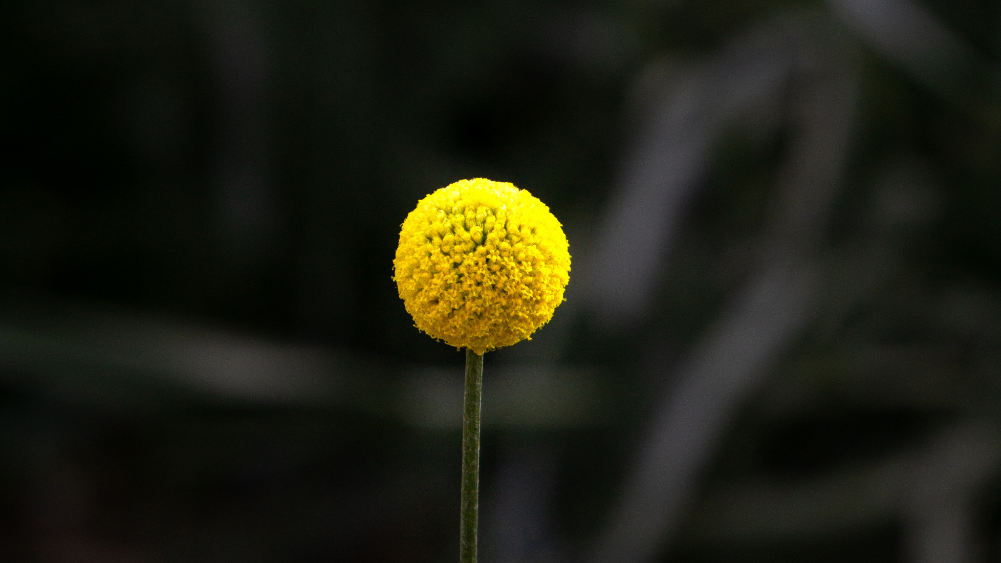 오늘의 Thinking and Thought