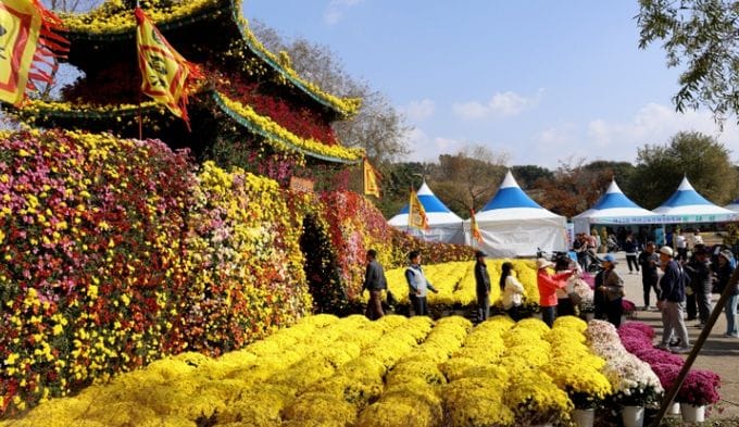 제22회 백제고도부여국화축제, 성황리 마무리
