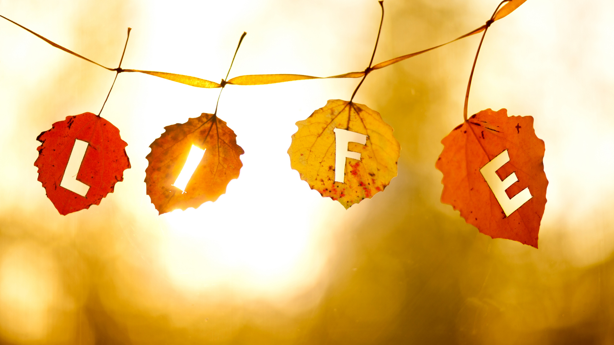 행운을 불러오는 오늘의 한마디 (25-11-25)