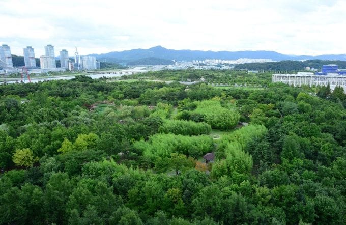 대전, 그린청정도시가 된 비결은?