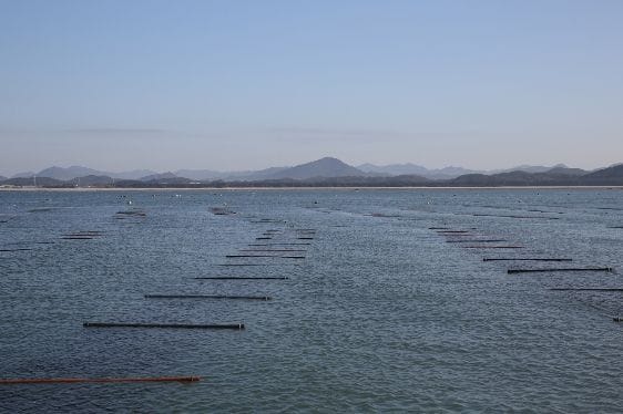 전세계 입맛 사로잡은 ‘충남 김’ 수출액 역대 최고