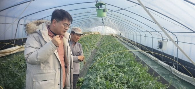 부여군농업기술센터, 굿뜨래 고품질 수박 현장 기술 지원 강화