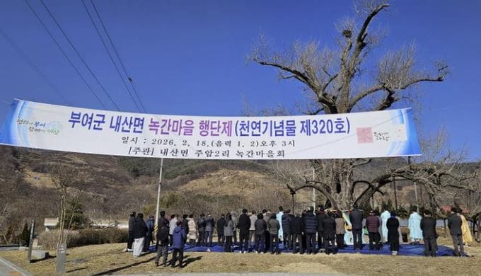 천연기념물 부여 주암리 은행나무 앞에서 행단제[杏壇祭] 거행