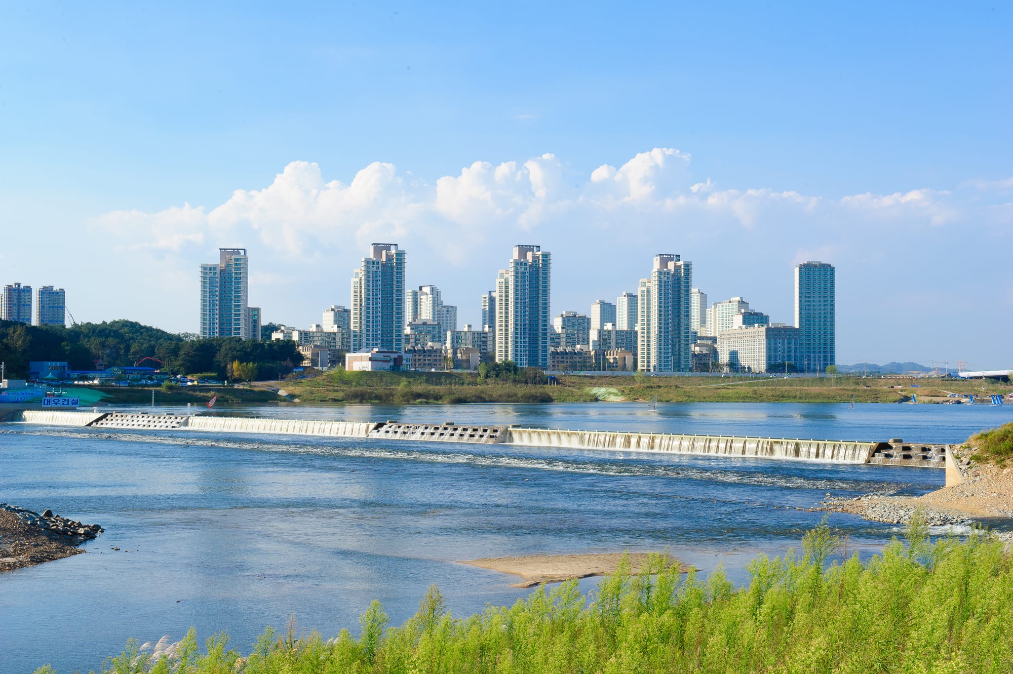 [무조건 라이브] 정부 주관 세종지원위원회 결과 발표 (02.26일)