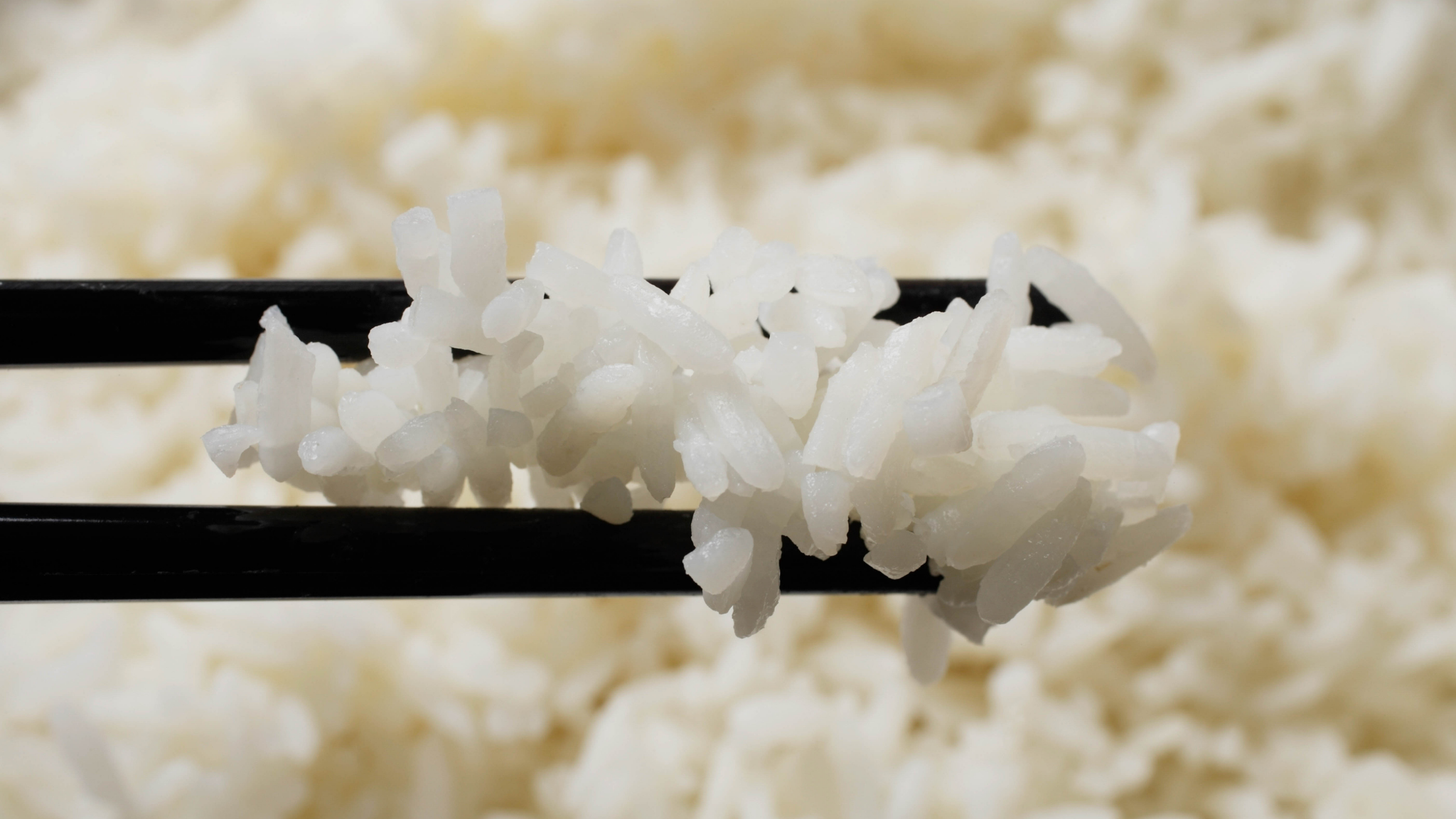 충남형 천원의 아침밥 11개 대학 선정