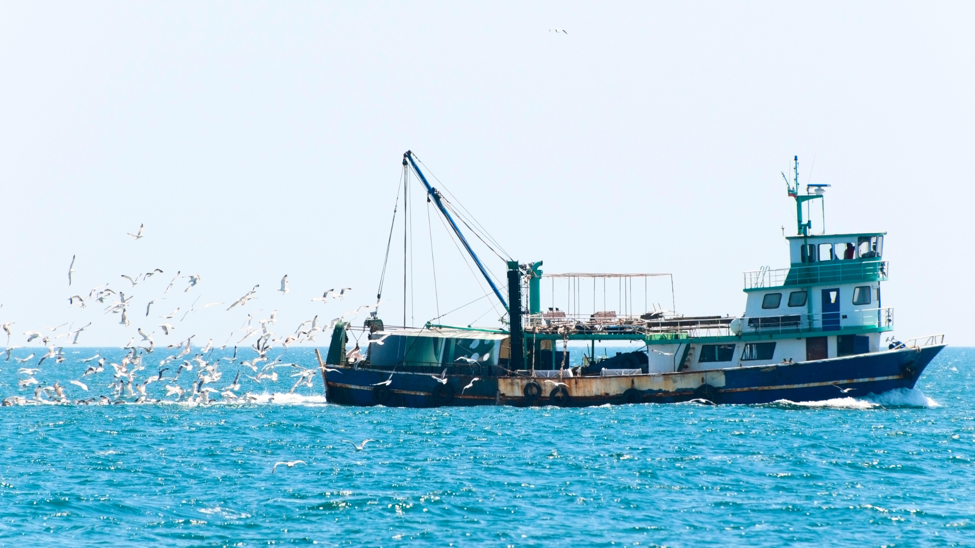 충남 바다서 제2의 인생 꿈꾼다