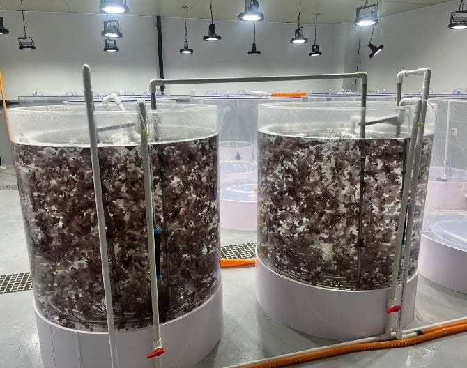 이제 '김 육상에서 양식'... 충남도 관련 기술 특허 2건 등록