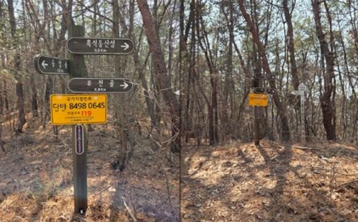 대전시 산불․산악사고 신고? 국가지점번호를 기억하세요