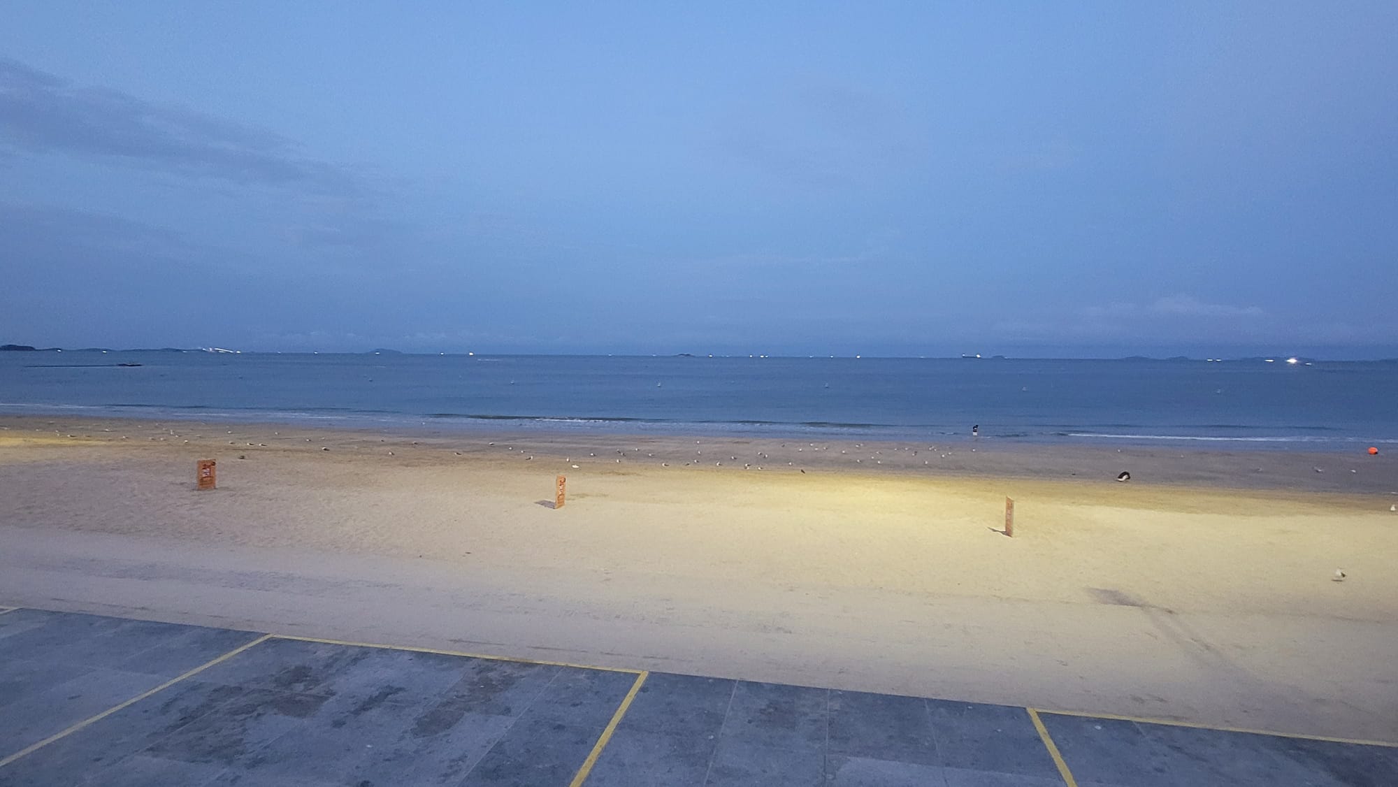 충남도 대천항 북방파제 준설토투기장 조성 본격화