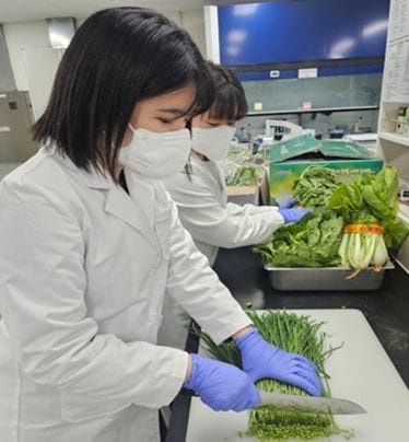 대전보건환경연구원 봄철 농산물 안전성 ‘양호’, 보건환경연구원 검사 결과 99.1% 적합